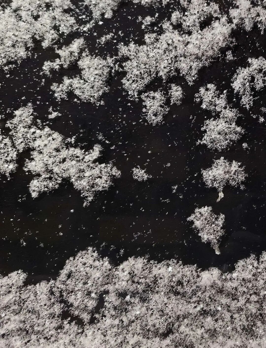 2026年京城初雪！你想看的雪景都在这里！