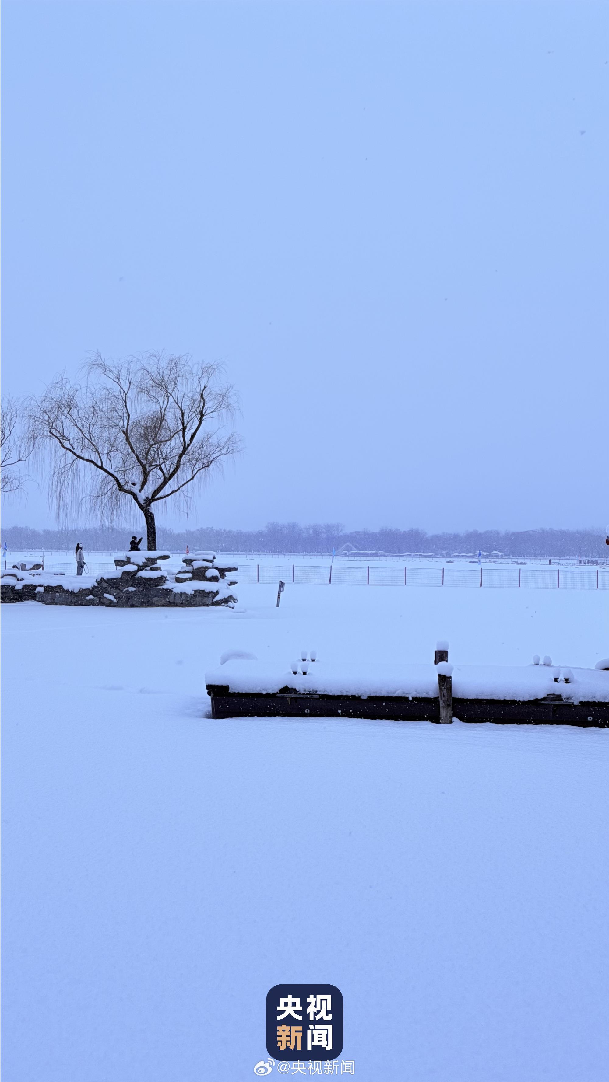 一场雪 颐和园美成了国画