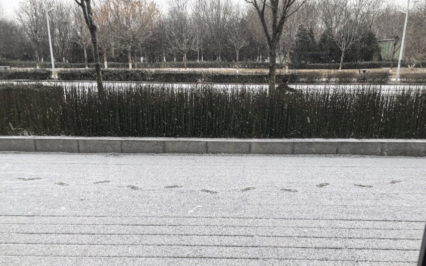 下雪了！河北多条高速临时管控→