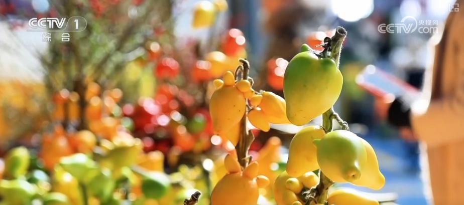 “马”上迎新创意不断 “马踏福来”“马上都来”成“宠儿”点亮节前消费热潮