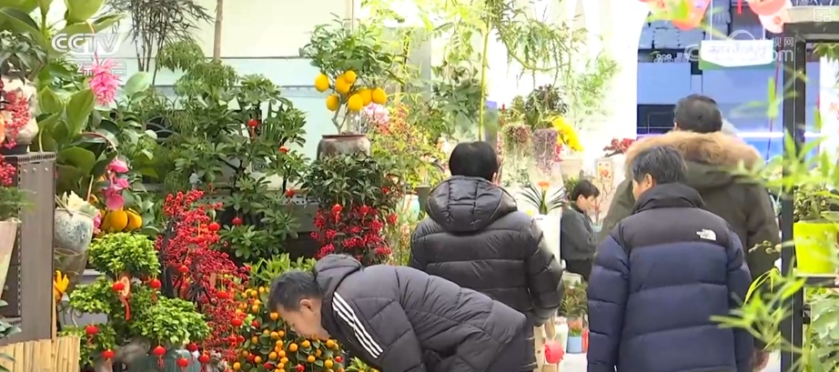 “马”上迎新创意不断 “马踏福来”“马上都来”成“宠儿”点亮节前消费热潮