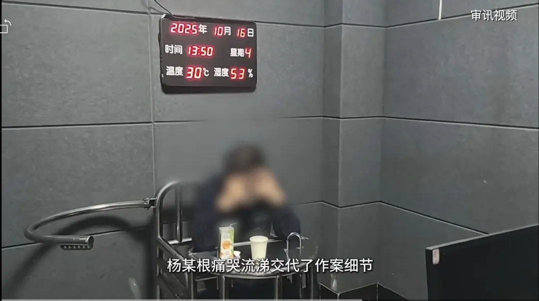 商场花坛惊现白骨！竟是28年前突然失踪的女老板……凶手一直躲在上海！警方披露→