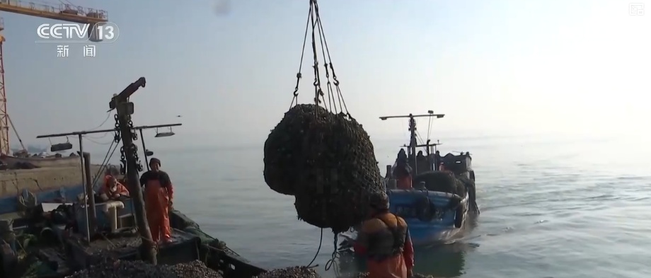 “鲜味经济”“鲜花经济”撬动节前火热消费 多地开启“年货交易模式”