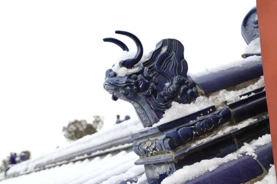 2026年京城初雪！你想看的雪景都在这里！