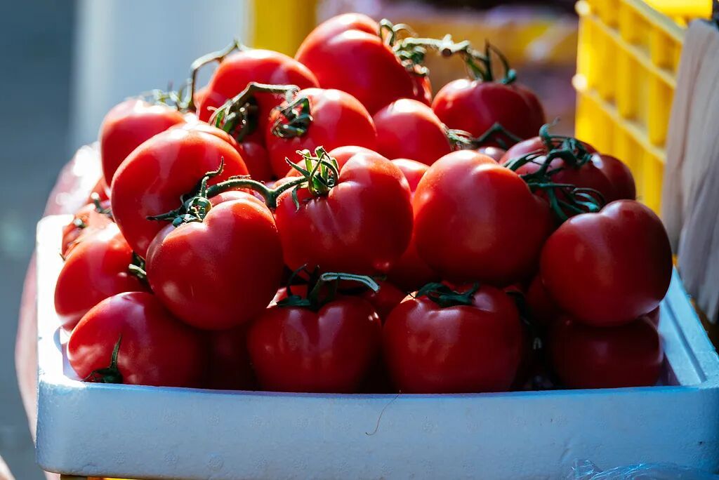 价格暴涨80.9%！上海几乎人人都爱，家家必备...春节会有改善？