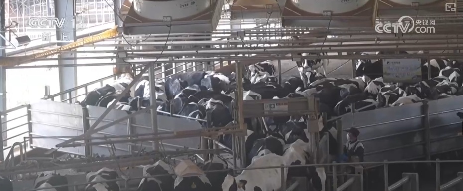 工业游从“小众体验”迈向“大众消费” “工业+文旅”多元场景释放新经济增长点