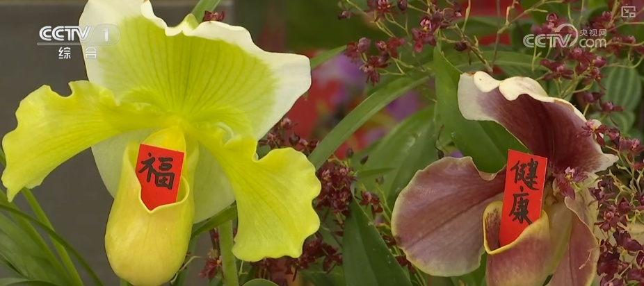 “马”上迎新创意不断 “马踏福来”“马上都来”成“宠儿”点亮节前消费热潮