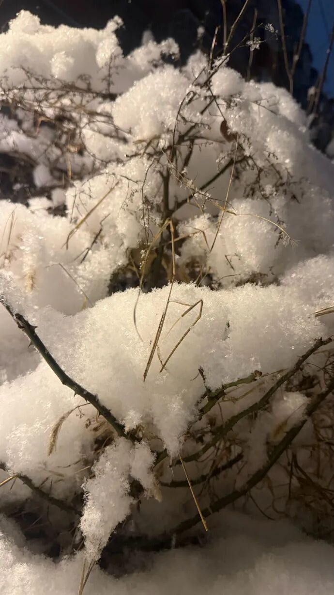 北京鹅毛大雪登热搜？未来几日大部地区寒潮雨雪天气持续！