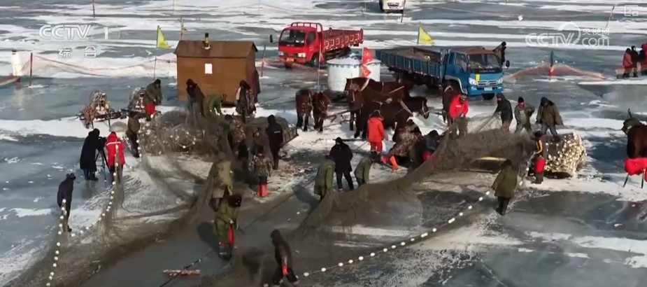 多元体验热“雪”沸腾聚人气 “冰雪+”跨界上“新”焕发新活力激活新消费