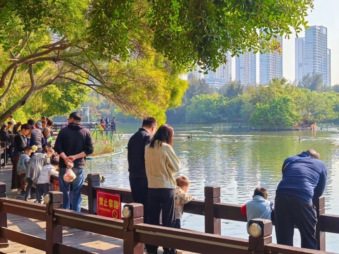 今年首场寒潮来袭！厦门下周将迎“滑梯式”降温，最低气温跌至9℃......