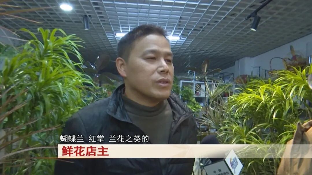 过年买花不踩坑！合肥鲜花陆续上市，店主透露：热门品种是它→