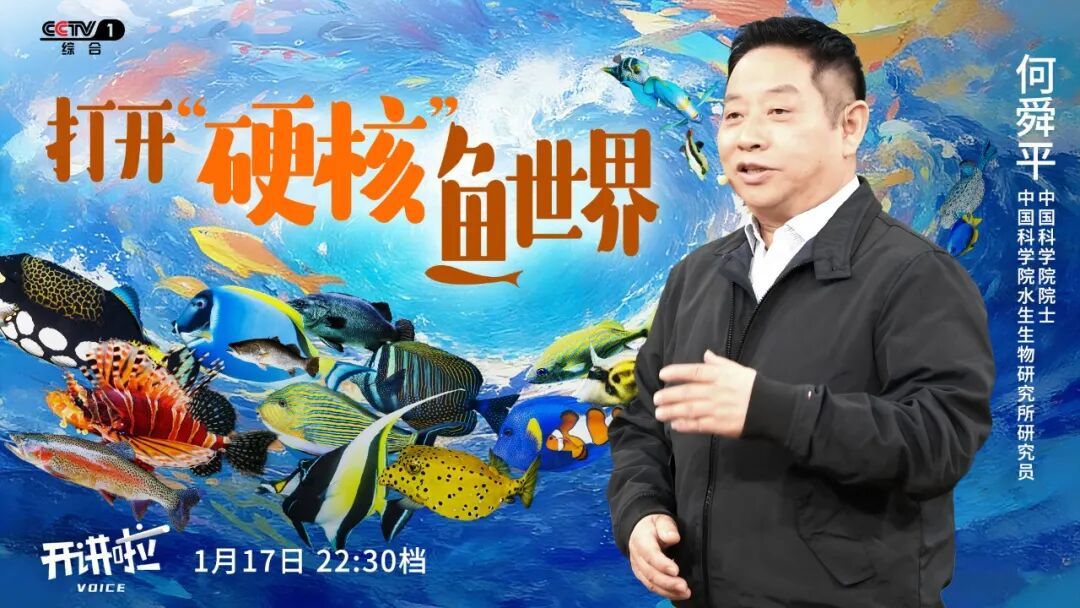 泥鳅和黄鳝不是亲戚？人类其实是“长肺的鱼”？这场开讲颠覆认知→