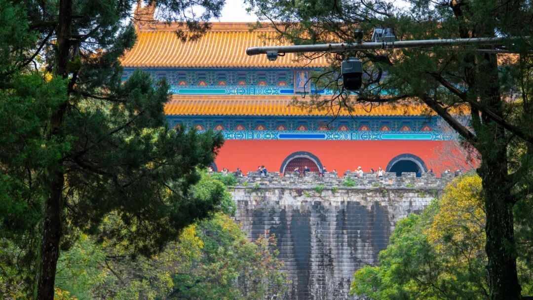 日均开行列车300余趟！这座高铁站对面就是网红动物园！