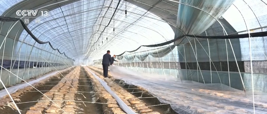 多部门打出精准服务“组合拳” 以“雪”为令迎“寒”而上全力保畅通、护生产