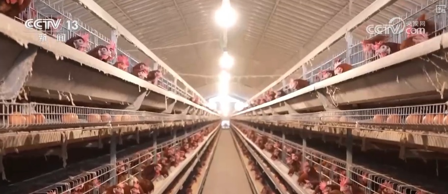 多部门打出精准服务“组合拳” 以“雪”为令迎“寒”而上全力保畅通、护生产