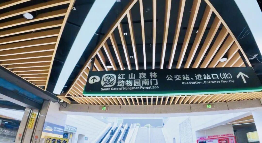 日均开行列车300余趟！这座高铁站对面就是网红动物园！