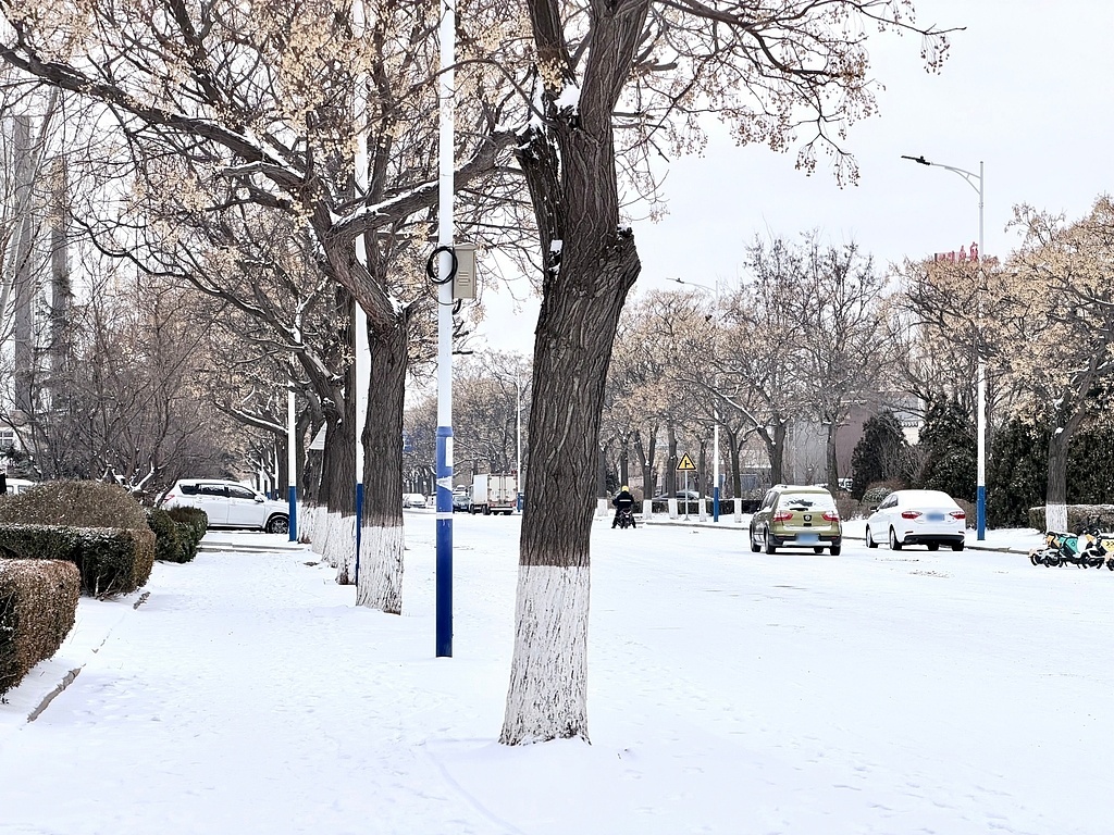 开车、骑车、步行 雨雪天气出行注意这些