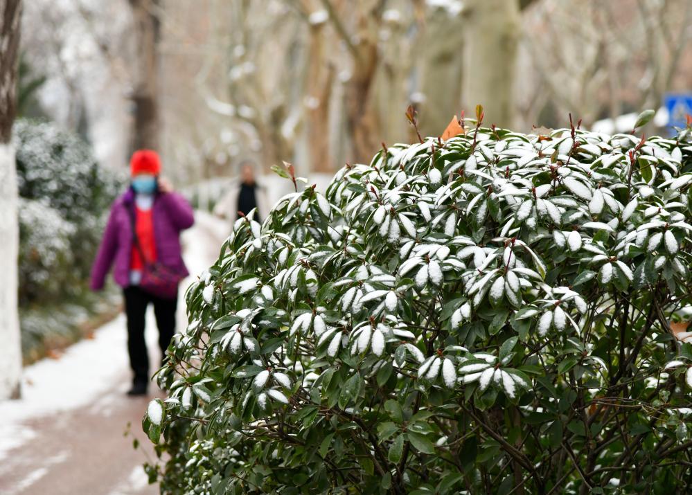 山东济南迎来今年首场降雪