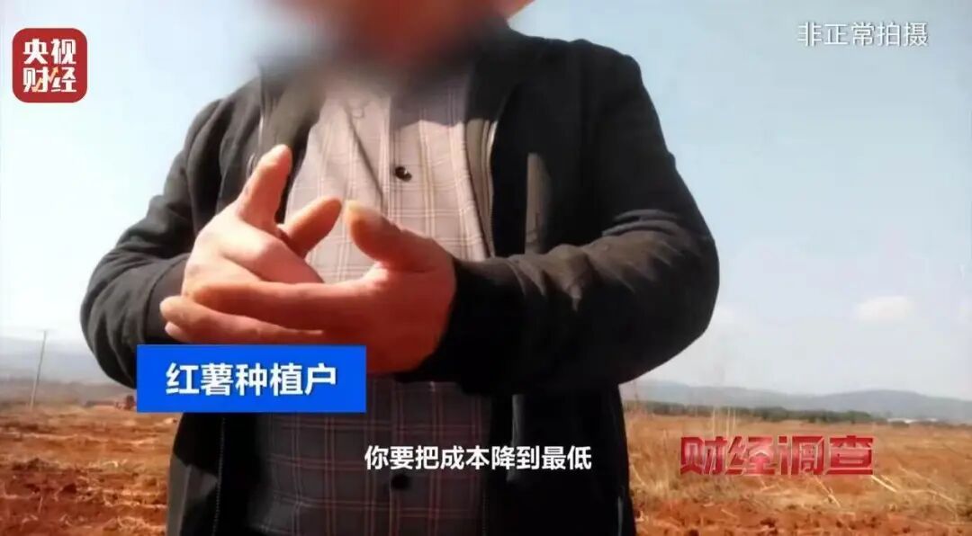 “味道大受不了，只有晚上打药”，央视曝光