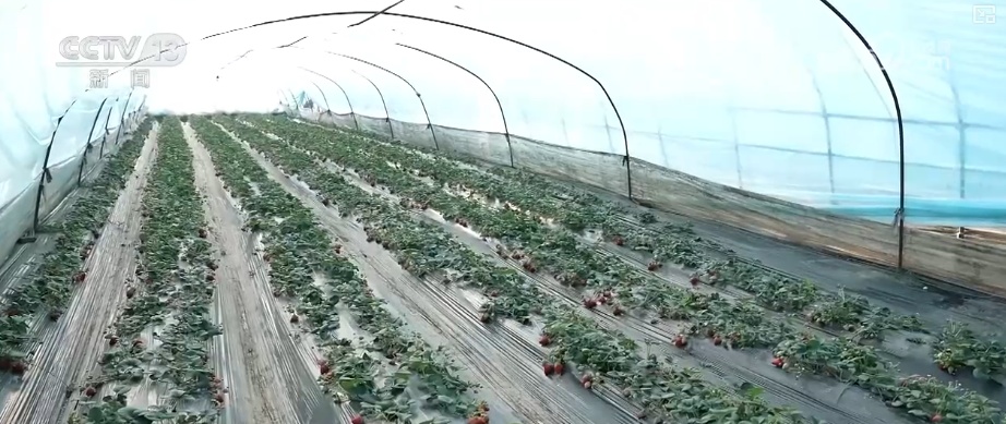 多部门打出精准服务“组合拳” 以“雪”为令迎“寒”而上全力保畅通、护生产