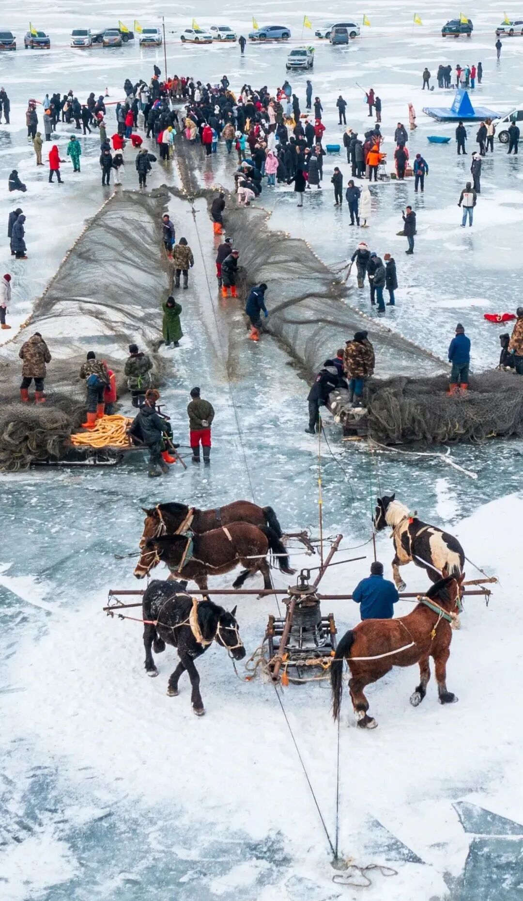 零下30°C的查干湖为何热闹起来了？