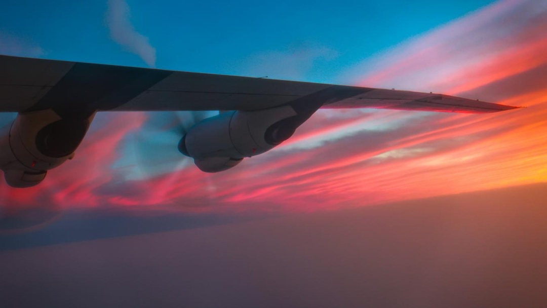 昼夜鏖战，深海猎鲨