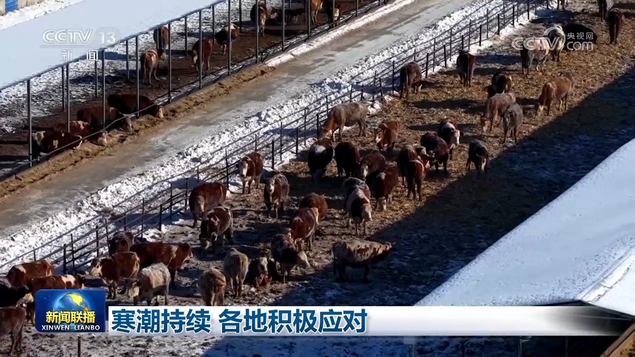 寒潮持续 各地积极应对