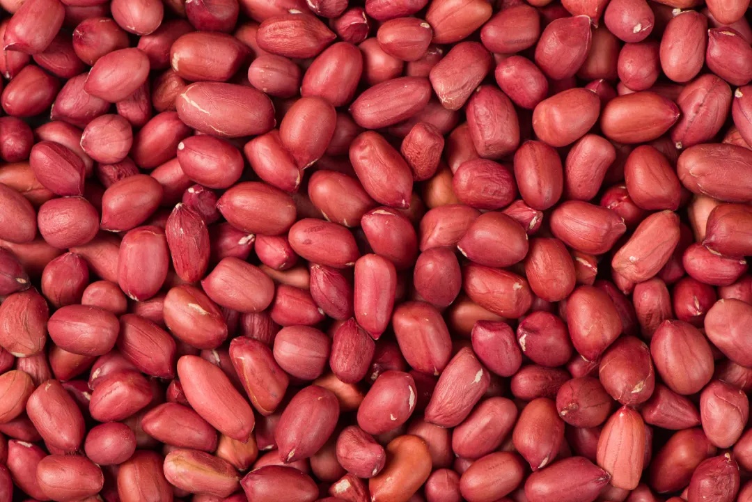 看似养胃，其实伤胃！真正的养胃方法是……