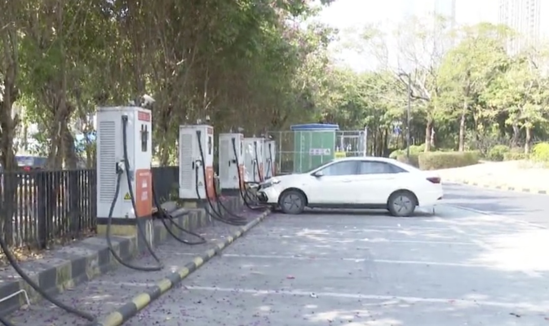 发钱了！佛山一小区26万余元公共收益回馈业主