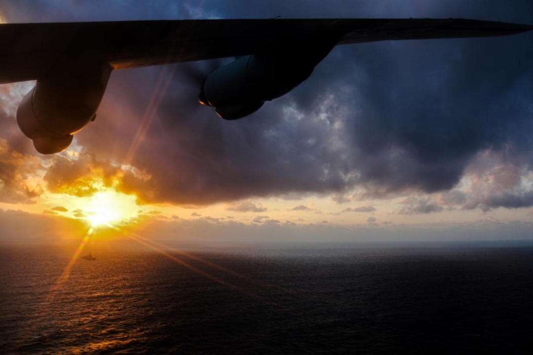 昼夜鏖战，深海猎鲨