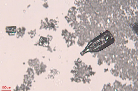 显微镜下，雪花原来长这样！