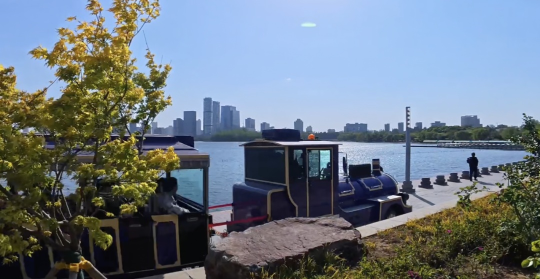 日均开行列车300余趟！这座高铁站对面就是网红动物园！