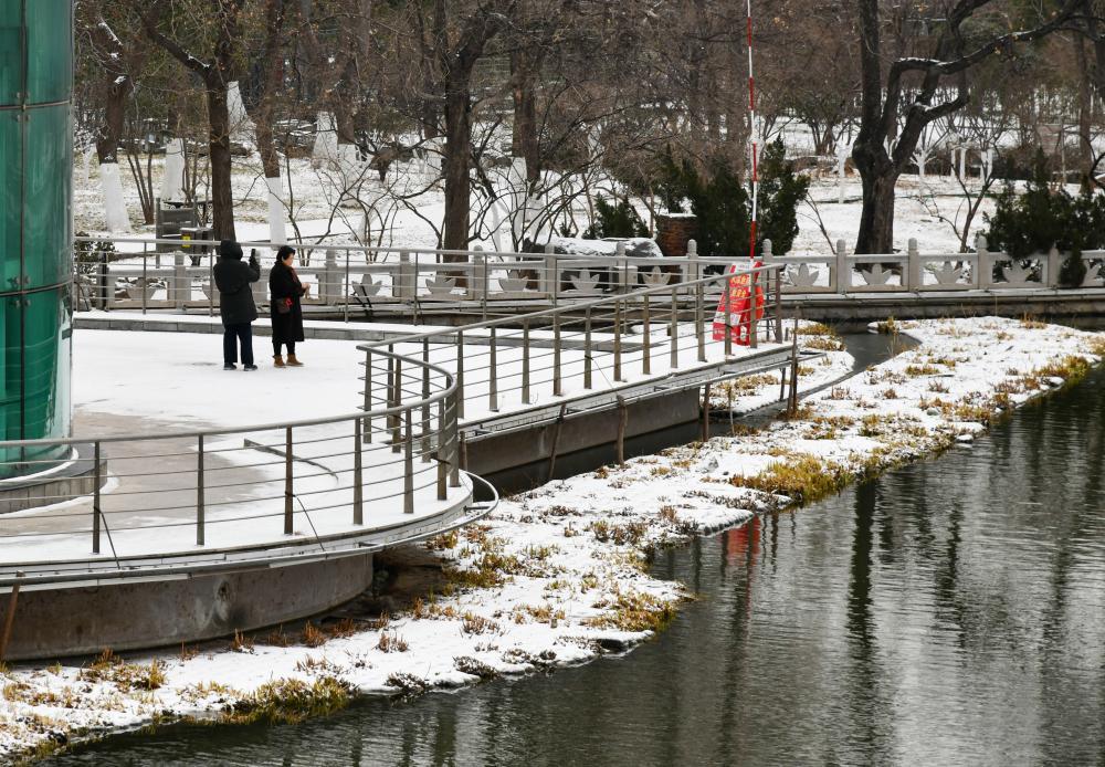 山东济南迎来今年首场降雪