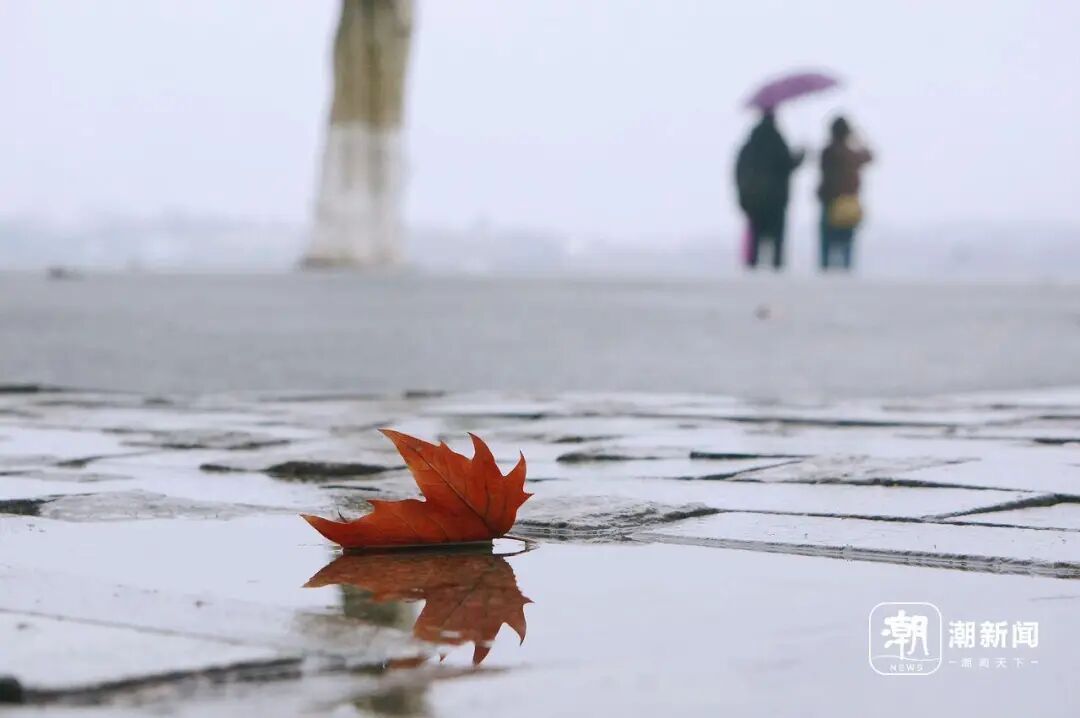 寒潮已抵达，局部中到大雪！浙江多趟列车停运