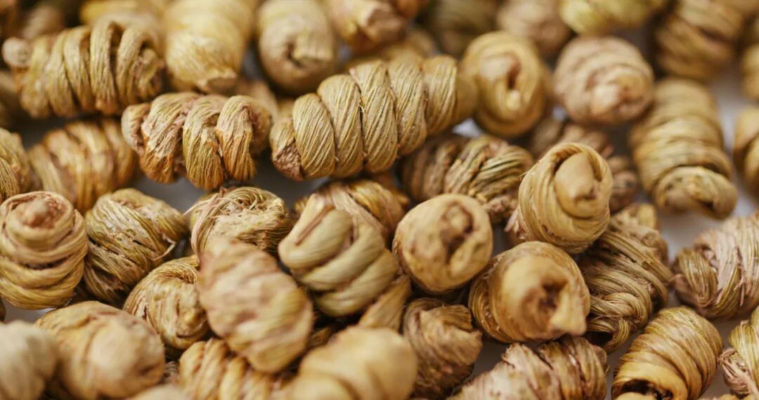 神奇草木 | 秋冬润燥+日常滋补！五神板栗排骨汤，请安排~