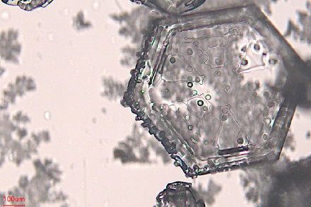 显微镜下，雪花原来长这样！