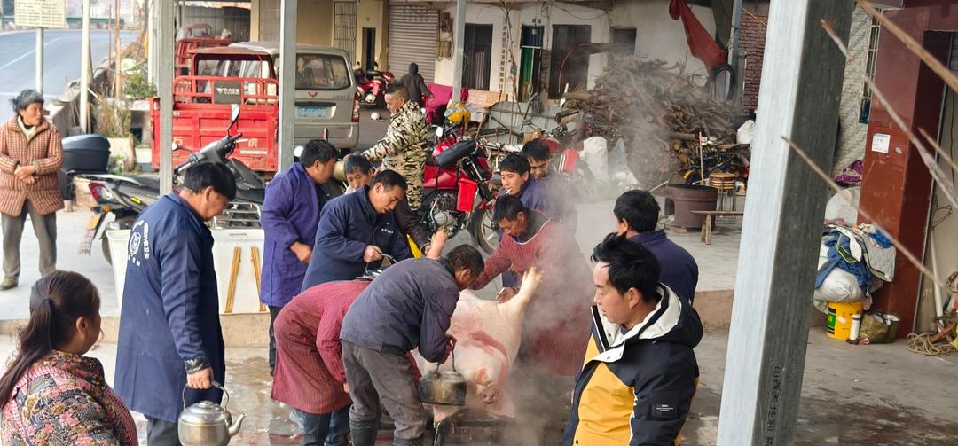 “刨猪汤”火上热搜，杀猪匠、民俗专家揭秘：年味是怎么“刨”出来的？