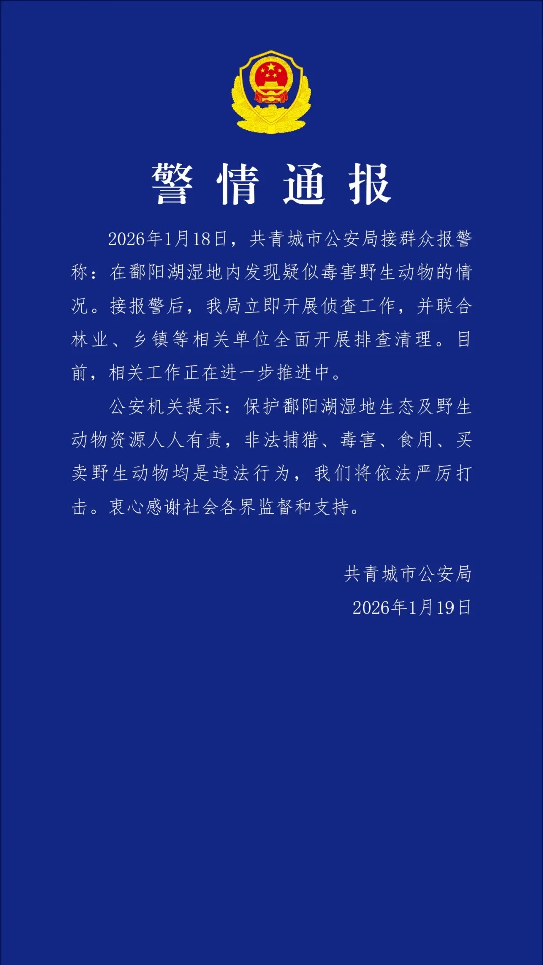 鄱阳湖湿地内有野生动物疑似遭毒害 江西警方通报