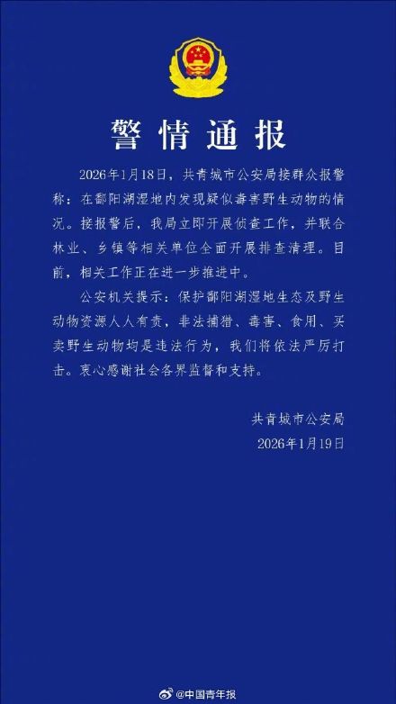警方通报鄱阳湖野生动物被毒害