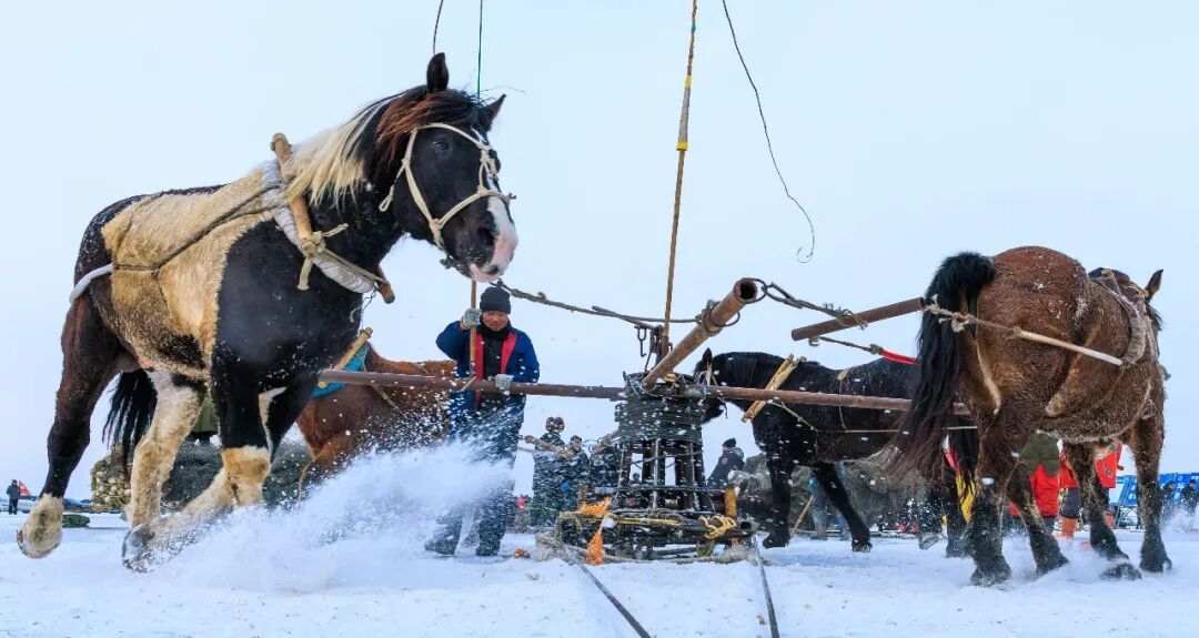 零下30°C的查干湖为何热闹起来了？