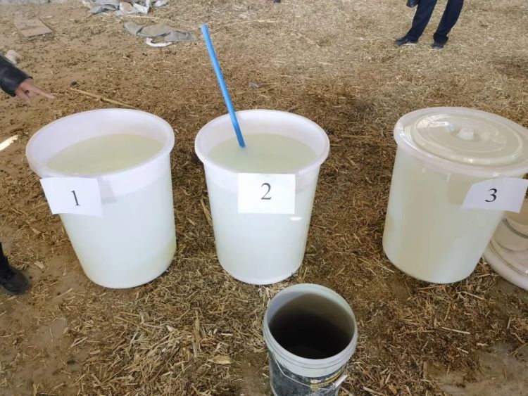 缴毒307公斤！内蒙古巴彦淖尔警方侦破一起制贩毒品案件，主犯最高获刑15年