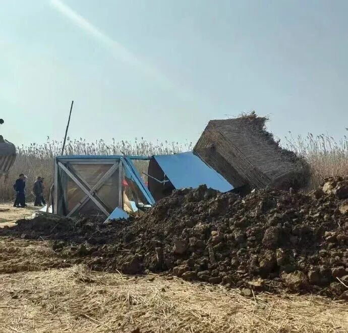 “致命陷阱”？！艺术创作绝不能触碰生态底线