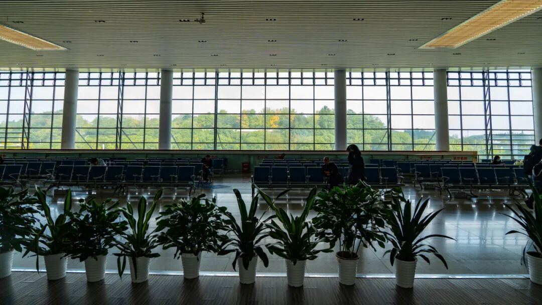 日均开行列车300余趟！这座高铁站对面就是网红动物园！