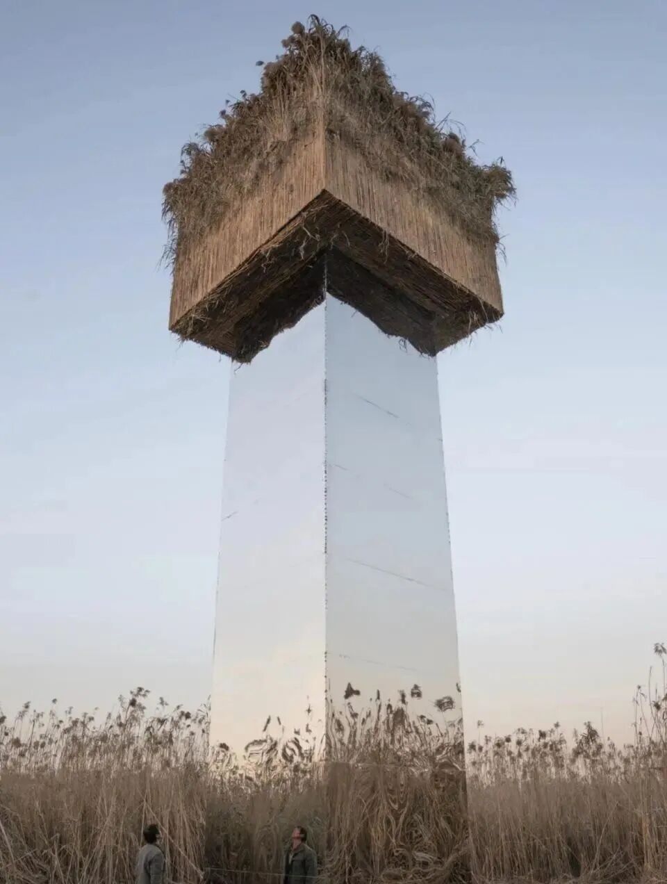 “致命陷阱”？！艺术创作绝不能触碰生态底线