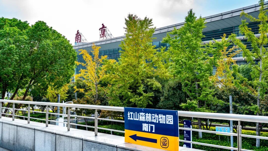 日均开行列车300余趟！这座高铁站对面就是网红动物园！