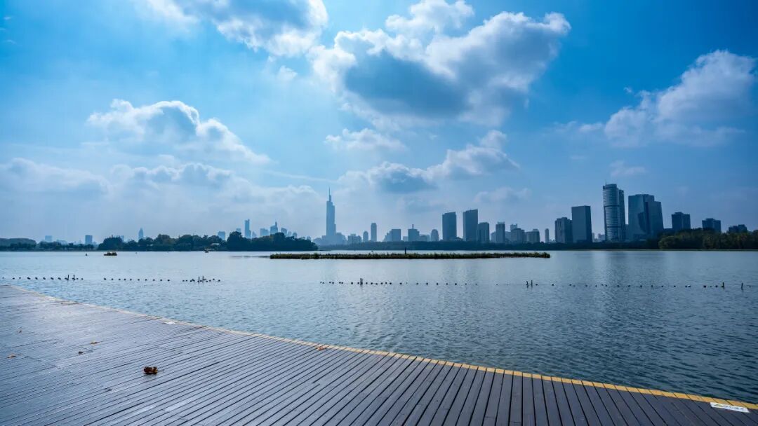 日均开行列车300余趟！这座高铁站对面就是网红动物园！