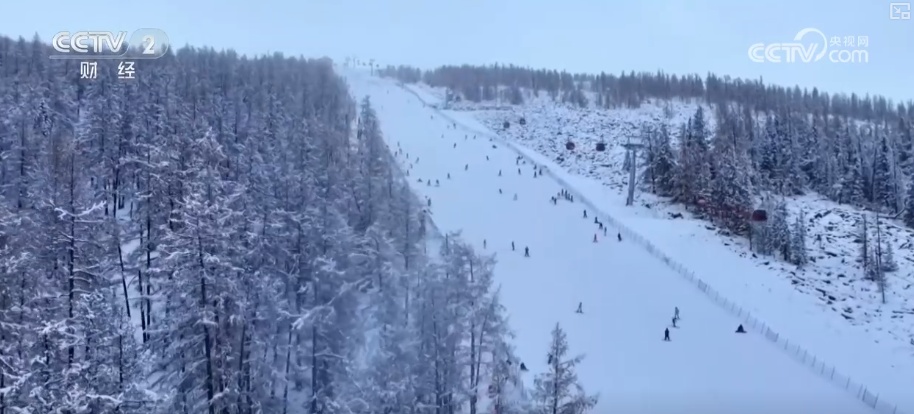 返乡、探亲、学生与旅游度假客流叠加 春运航空出行需求旺盛