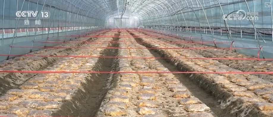 多部门打出精准服务“组合拳” 以“雪”为令迎“寒”而上全力保畅通、护生产