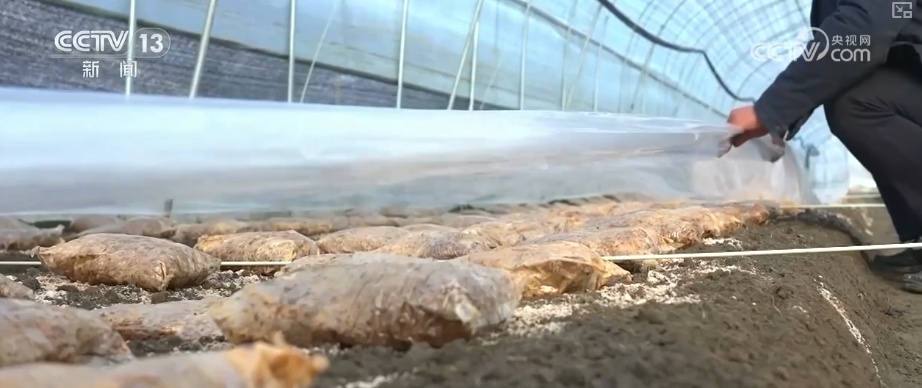 多部门打出精准服务“组合拳” 以“雪”为令迎“寒”而上全力保畅通、护生产