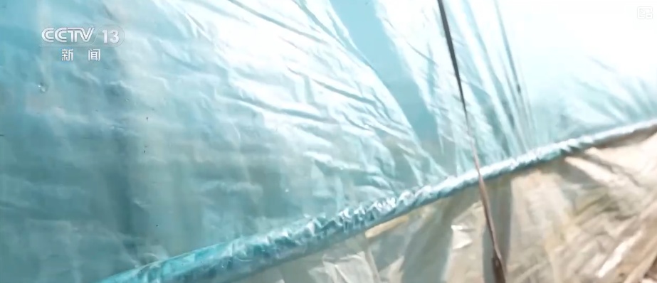 多部门打出精准服务“组合拳” 以“雪”为令迎“寒”而上全力保畅通、护生产